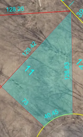 a view of a back yard