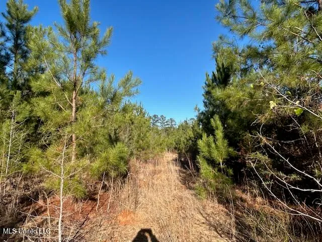 $332,000 | 7153 Highway 98, McComb, MS 39648