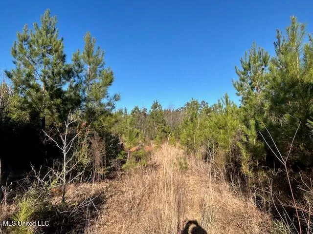 $332,000 | 7153 Highway 98, McComb, MS 39648