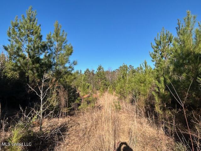 7153 Highway 98 McComb, MS 39648 - Photo 12 of 19 IMG_2722 (1)