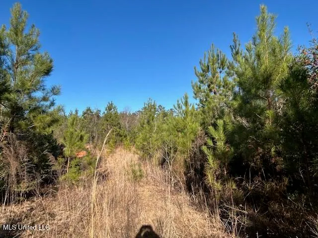 $332,000 | 7153 Highway 98, McComb, MS 39648