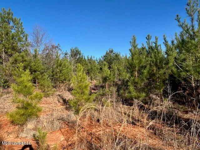 $332,000 | 7153 Highway 98, McComb, MS 39648