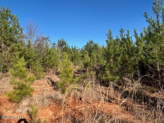 7153 Highway 98 McComb, MS 39648 - Photo 14 of 19 IMG_2724 (1)