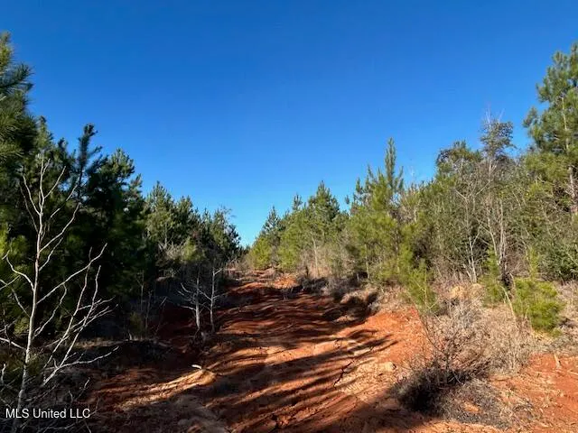 $332,000 | 7153 Highway 98, McComb, MS 39648