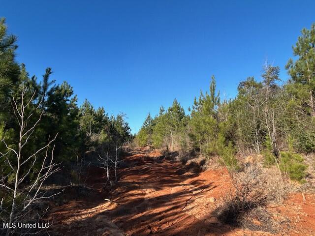 7153 Highway 98 McComb, MS 39648 - Photo 15 of 19 IMG_2725 (1)