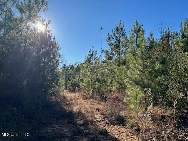 $332,000 | 7153 Highway 98, McComb, MS 39648