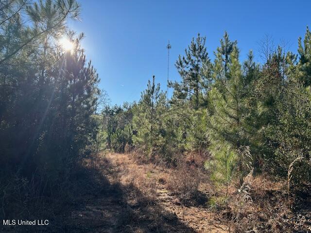 7153 Highway 98 McComb, MS 39648 - Photo 16 of 19 IMG_2726 (1)