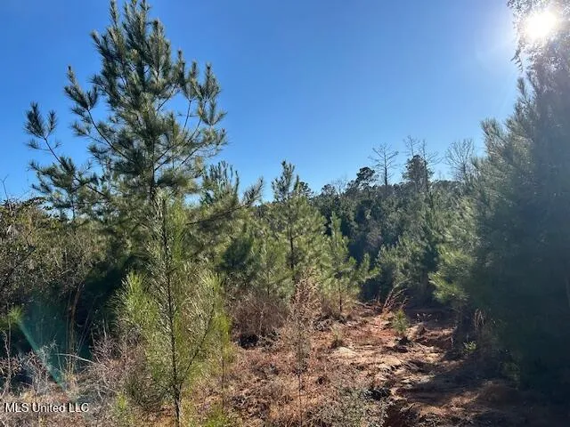 $332,000 | 7153 Highway 98, McComb, MS 39648