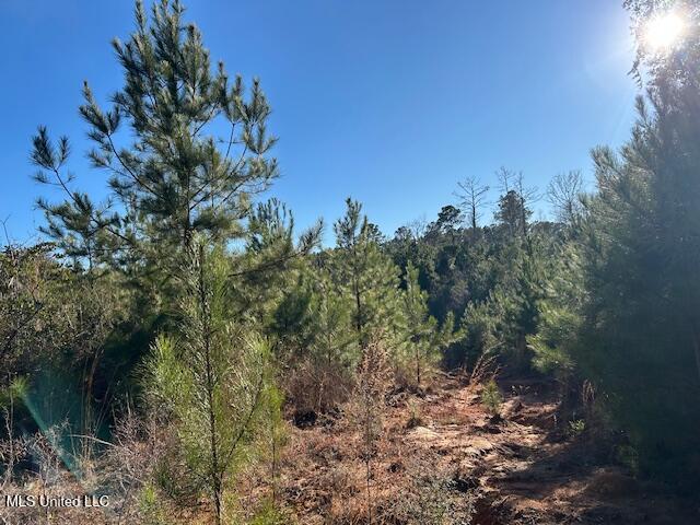 7153 Highway 98 McComb, MS 39648 - Photo 17 of 19 IMG_2727 (1)