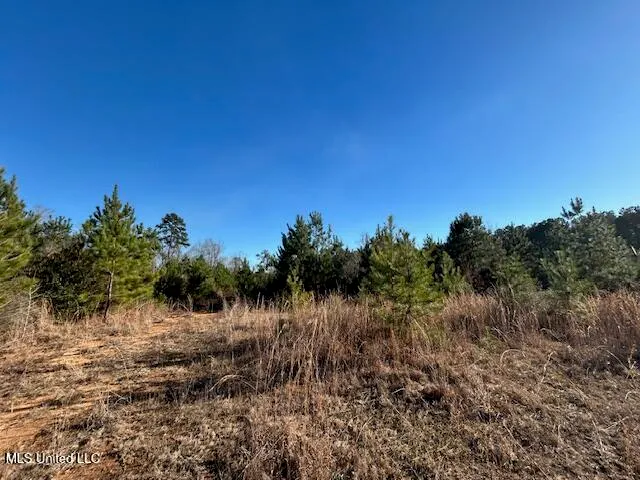 $332,000 | 7153 Highway 98, McComb, MS 39648