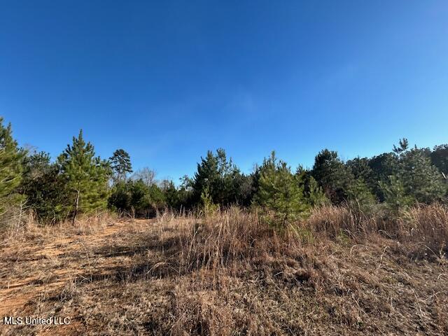 7153 Highway 98 McComb, MS 39648 - Photo 18 of 19 IMG_2728 (1)