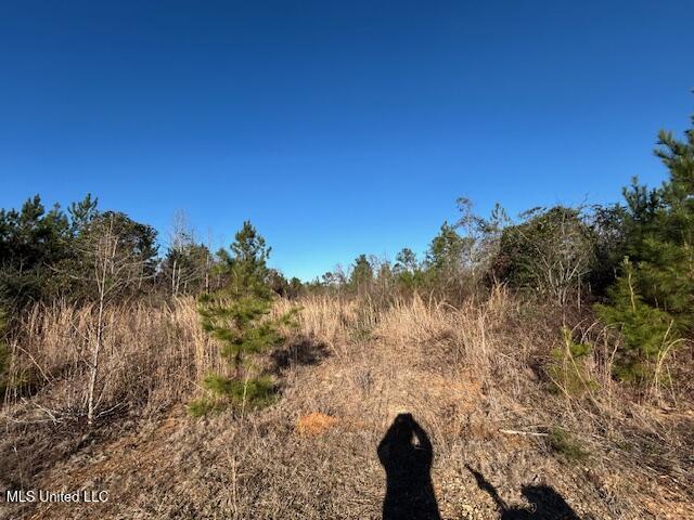 7153 Highway 98 McComb, MS 39648 - Photo 19 of 19 IMG_2729 (1)