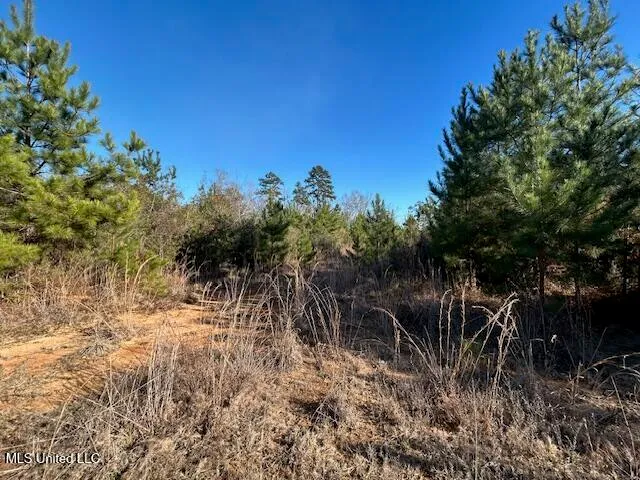 $332,000 | 7153 Highway 98, McComb, MS 39648