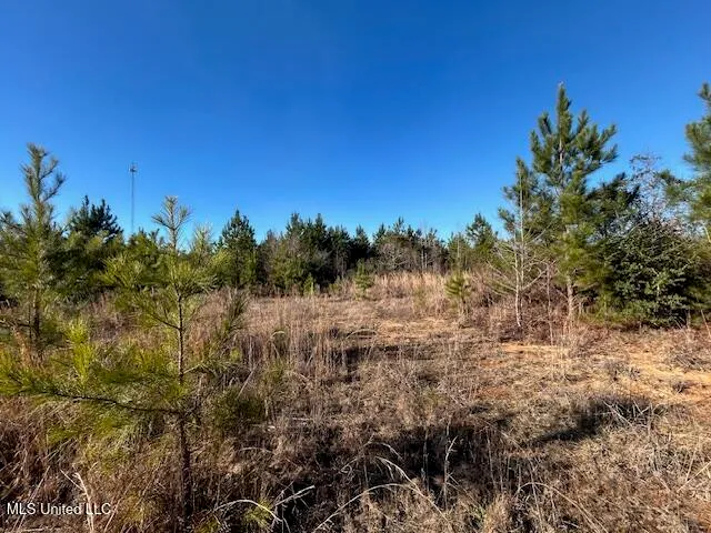 $332,000 | 7153 Highway 98, McComb, MS 39648