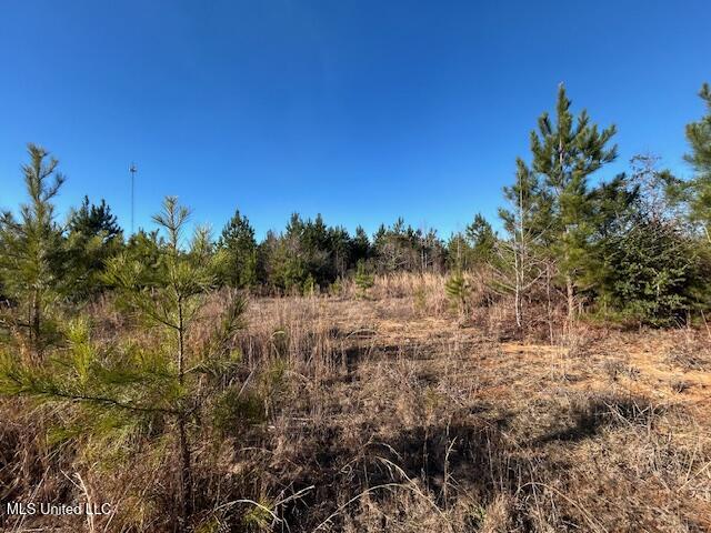 7153 Highway 98 McComb, MS 39648 - Photo 5 of 19 IMG_2715 (1)