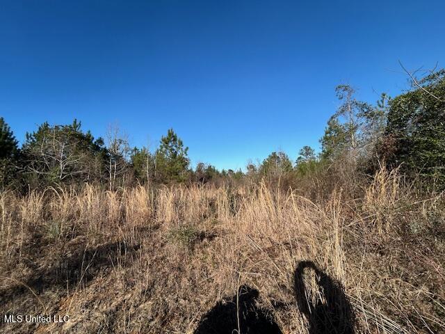 7153 Highway 98 McComb, MS 39648 - Photo 6 of 19 IMG_2716 (1)