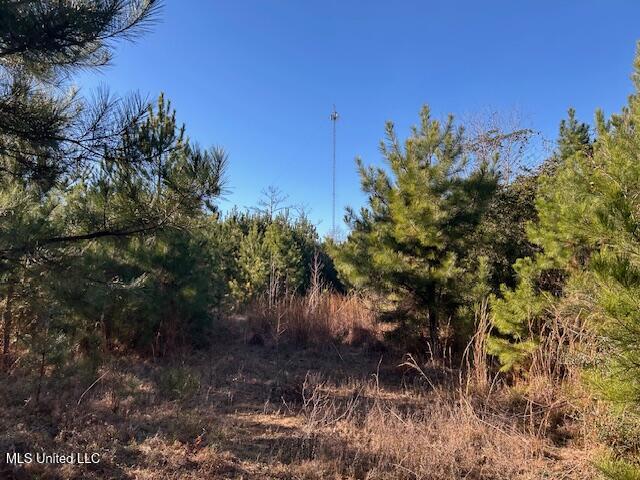 7153 Highway 98 McComb, MS 39648 - Photo 7 of 19 IMG_2717 (1)