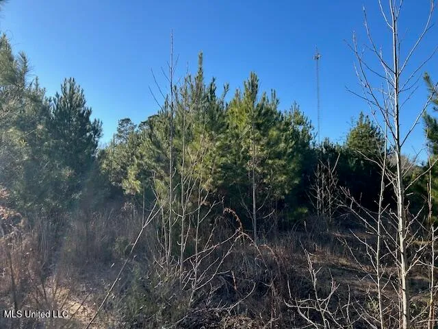 $332,000 | 7153 Highway 98, McComb, MS 39648