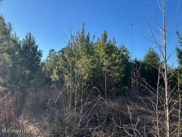 7153 Highway 98 McComb, MS 39648 - Photo 8 of 19 IMG_2718 (1)