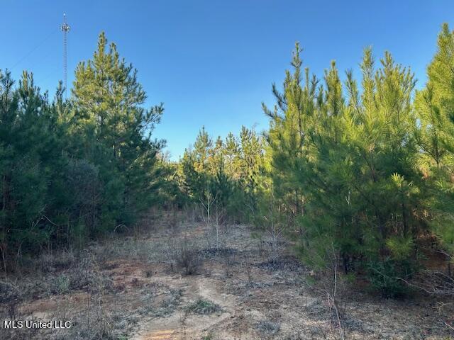 7153 Highway 98 McComb, MS 39648 - Photo 9 of 19 IMG_2719 (1)