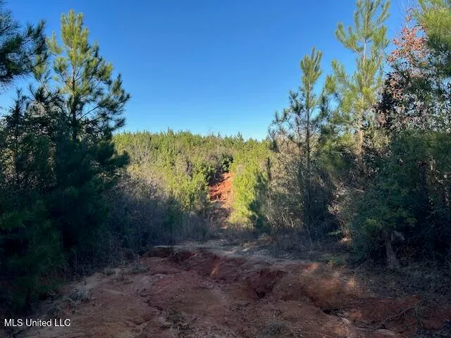 $332,000 | 7153 Highway 98, McComb, MS 39648