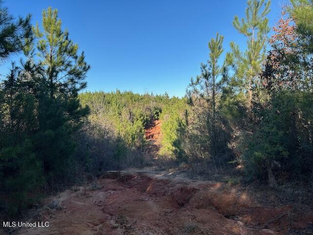 7153 Highway 98 McComb, MS 39648 - Photo 10 of 19 IMG_2720 (1)