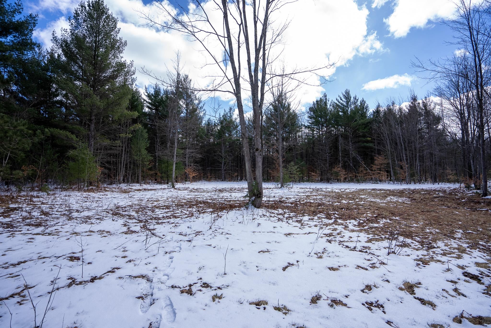 V/l Metzgar Road Northwest Kalkaska, MI 49646 - Photo 18 of 21