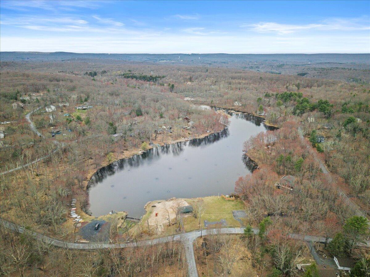 166 Alpine Lake Road Henryville, PA 18332 - Photo 11 of 52 Lake