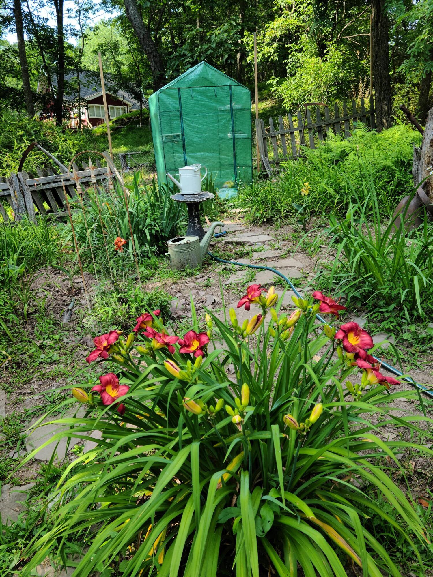 166 Alpine Lake Road Henryville, PA 18332 - Photo 44 of 52 a view of a back yard of the house