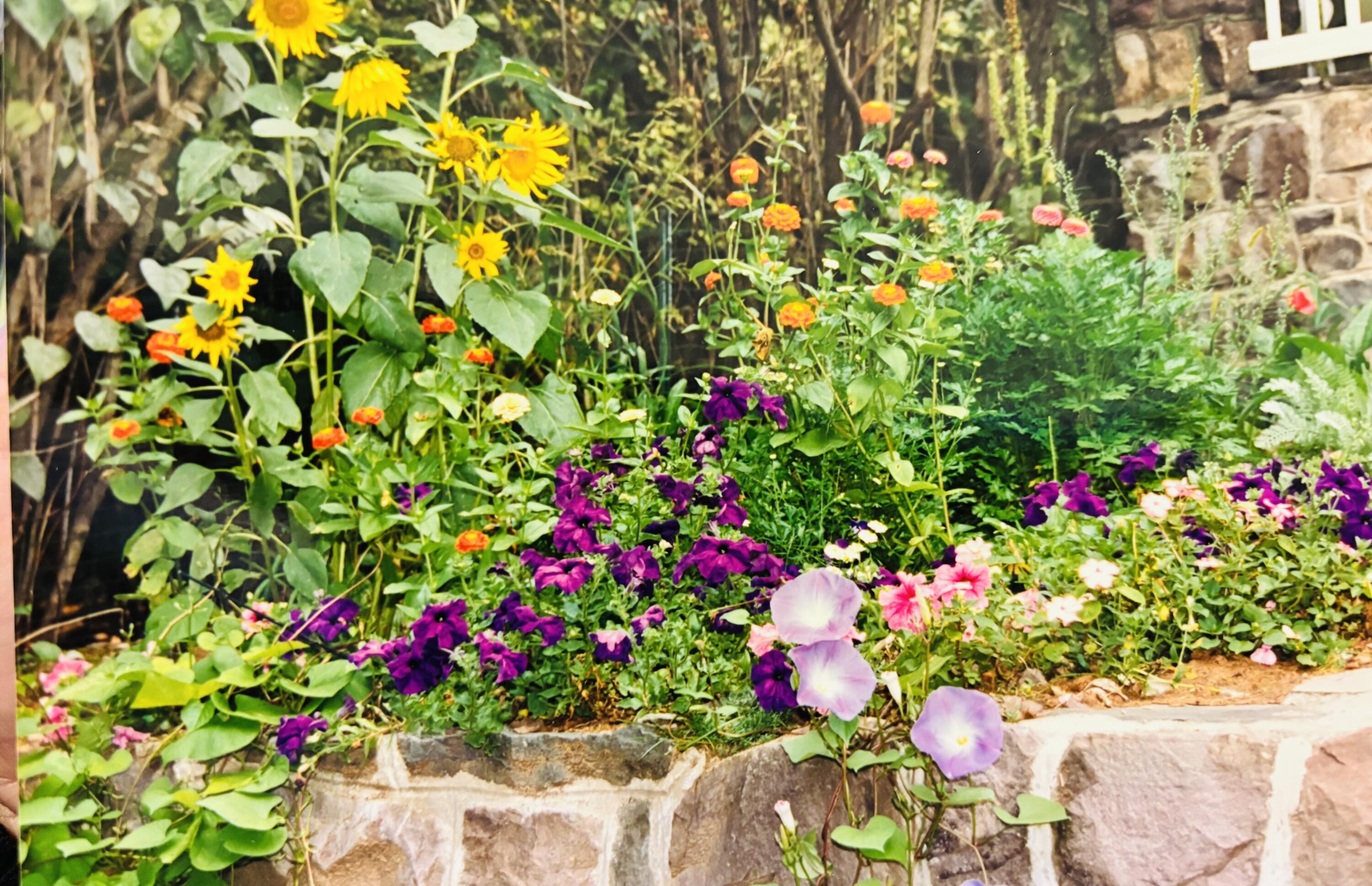 166 Alpine Lake Road Henryville, PA 18332 - Photo 45 of 52 Summer Flowers