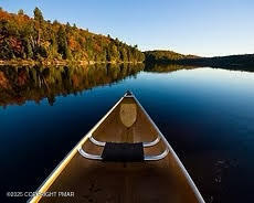 166 Alpine Lake Road Henryville, PA 18332 - Photo 5 of 52 Lake