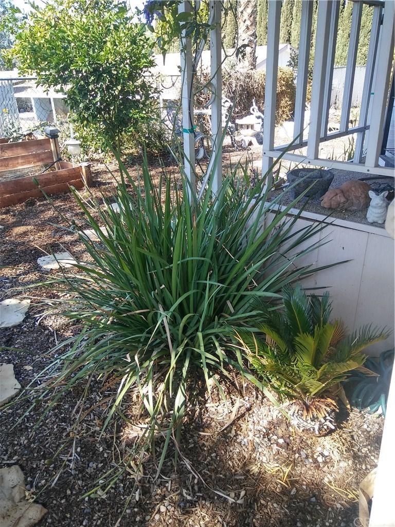 15181 Van Buren Riverside Ca, Unit 85 Riverside, CA 92504 - Photo 15 of 41 Gallery Image 15