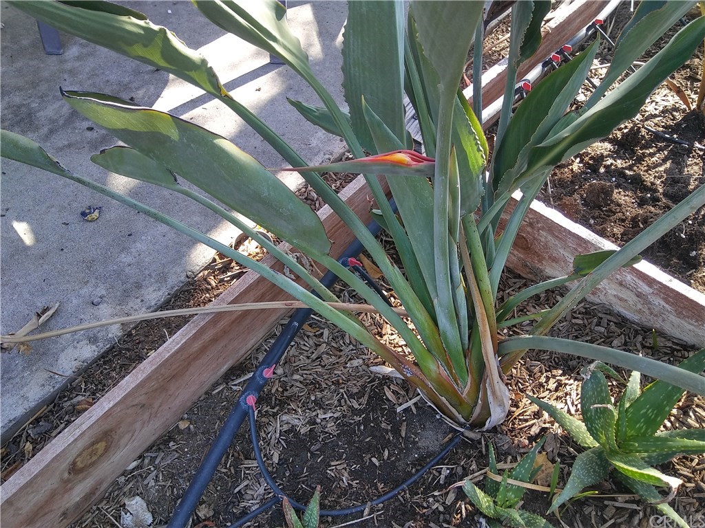 15181 Van Buren Riverside Ca, Unit 85 Riverside, CA 92504 - Photo 19 of 41 Gallery Image 19
