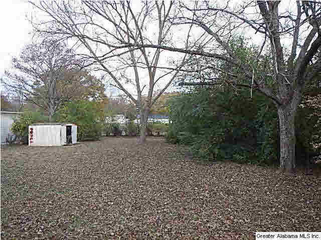 306 Coaling Road Sylacauga, AL 35150 - Photo 3 of 4
