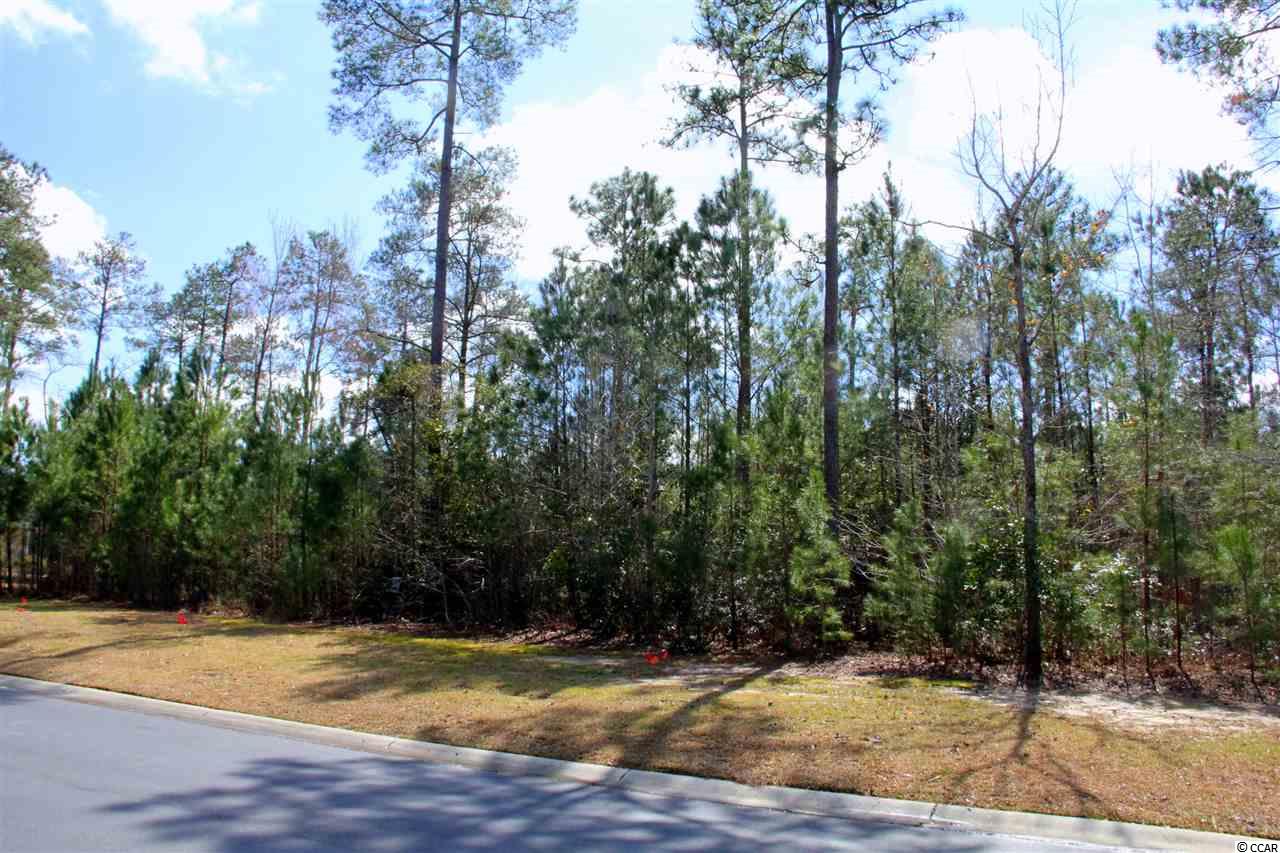 Lot 101 Cascade Drive Murrells Inlet, SC 29576 - Photo 1 of 15 Gallery Image 1
