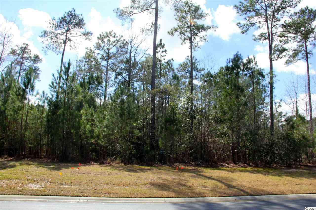 Lot 101 Cascade Drive Murrells Inlet, SC 29576 - Photo 3 of 15 Gallery Image 3