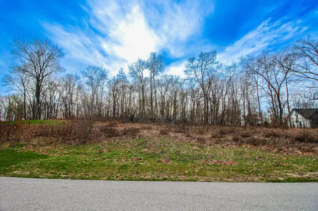 a view of backyard with green space