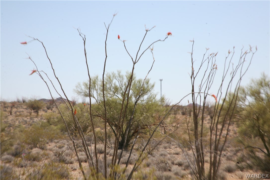 245-24-067a Lorton Road Yucca, AZ 86438 - Photo 34 of 42