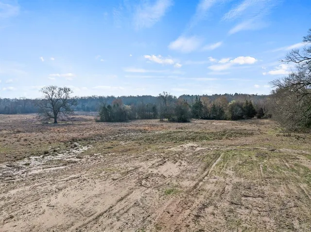 a view of a dry yard with trees