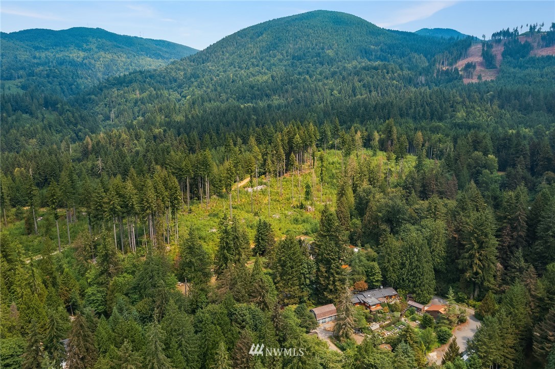 14461 Tiger Mountain Road Southeast Issaquah, WA 98027 - Photo 39 of 40 Gallery Image 39