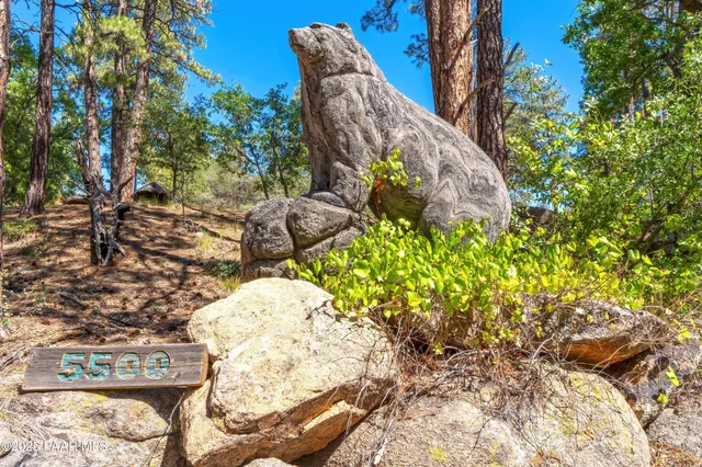 a view of water covered with trees