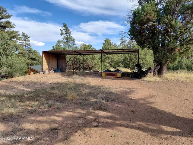 a view of a forest with a mountain