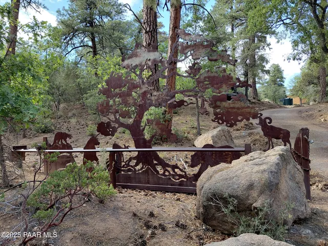 a view of backyard of the house