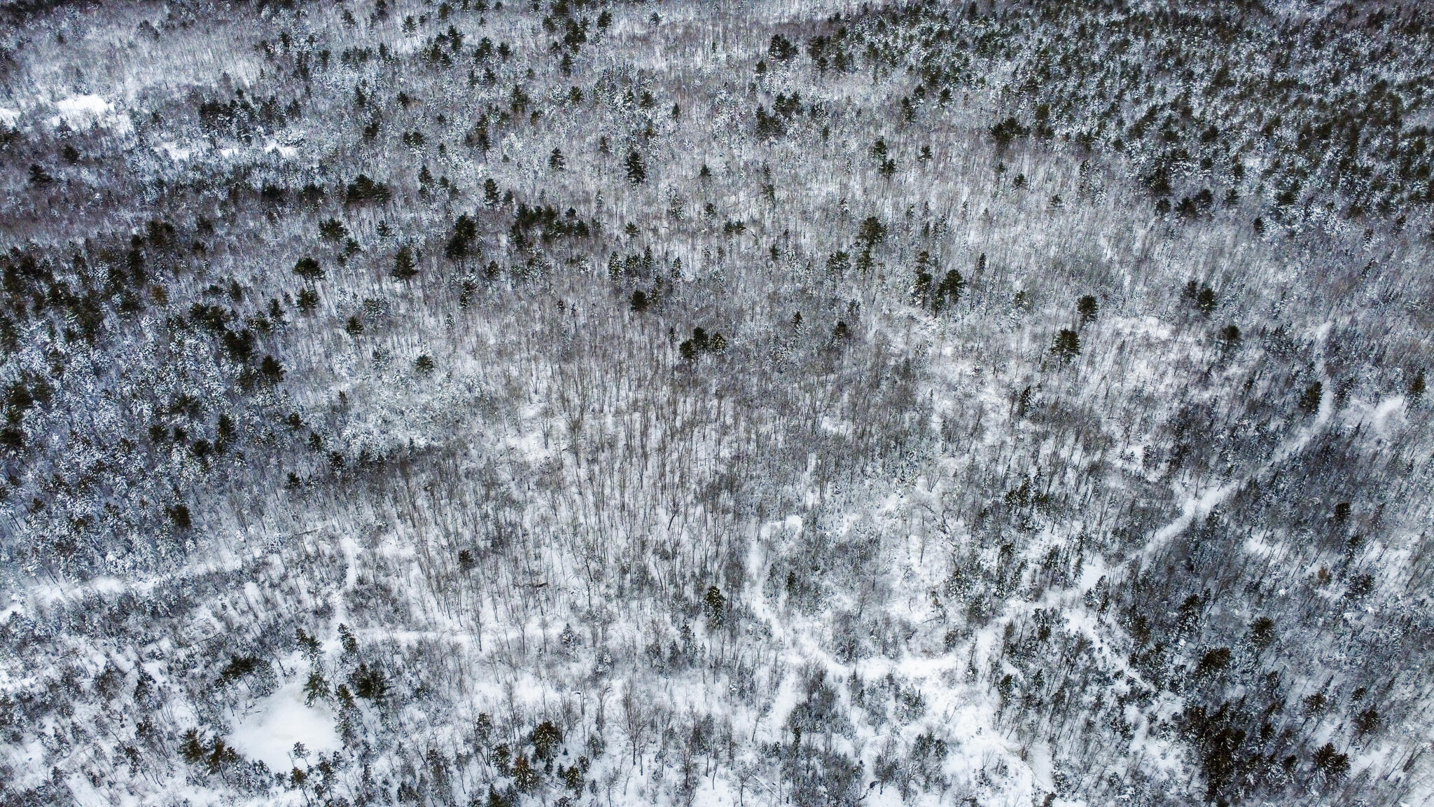 0 Stump Dump Road South Thomaston, ME 04858 - Photo 10 of 14 SOUTHTHOMASTON-6