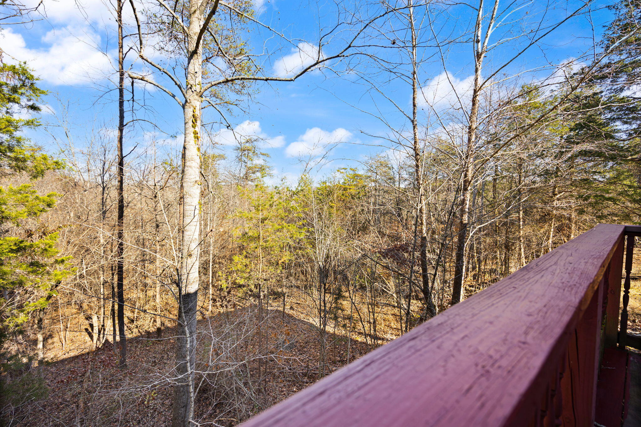 1310 R.L Colyer Road Somerset, KY 42501 - Photo 25 of 61 Back Deck on Main Level