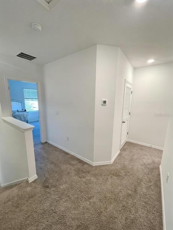 32599 Turtle Grace Loop Wesley Chapel, FL 33545 - Photo 11 of 18
