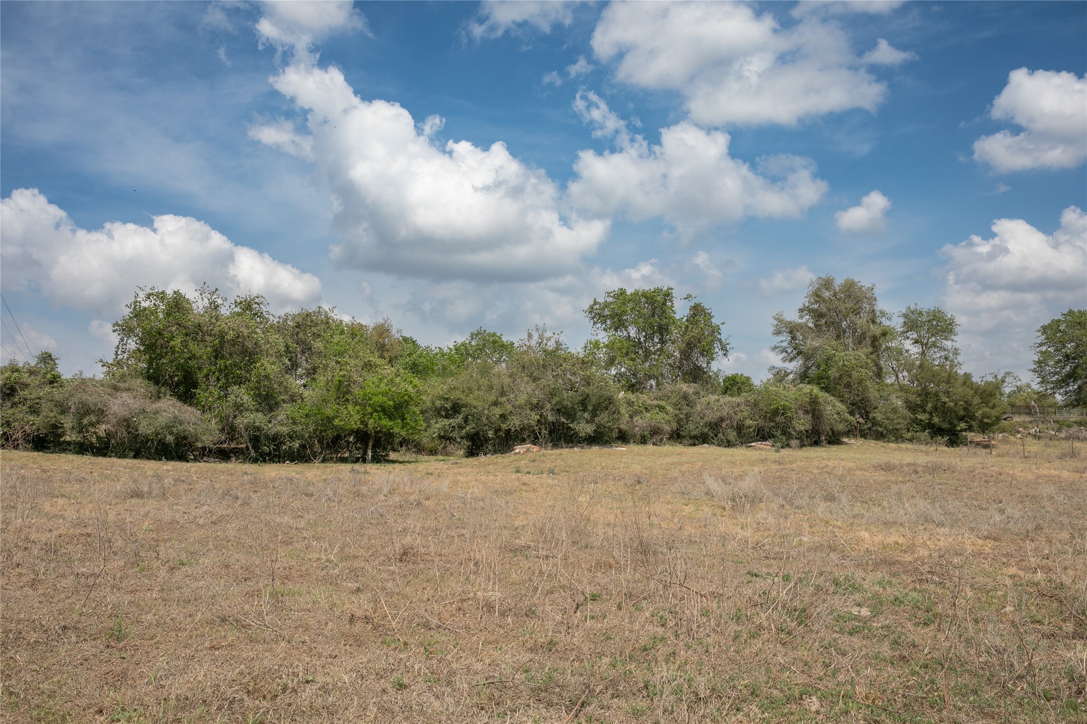 4254 FM 180 Road Ledbetter, TX 78946 - Photo 12 of 18