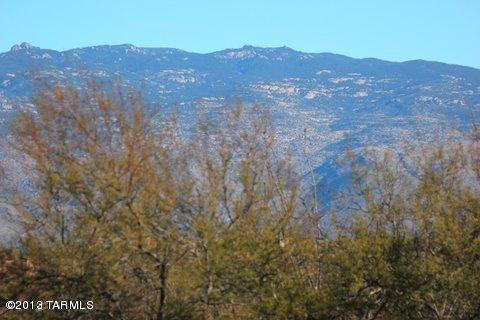 15150 East Two Bar Z Ranch Place, Unit 32 Vail, AZ 85641 - Photo 6 of 9