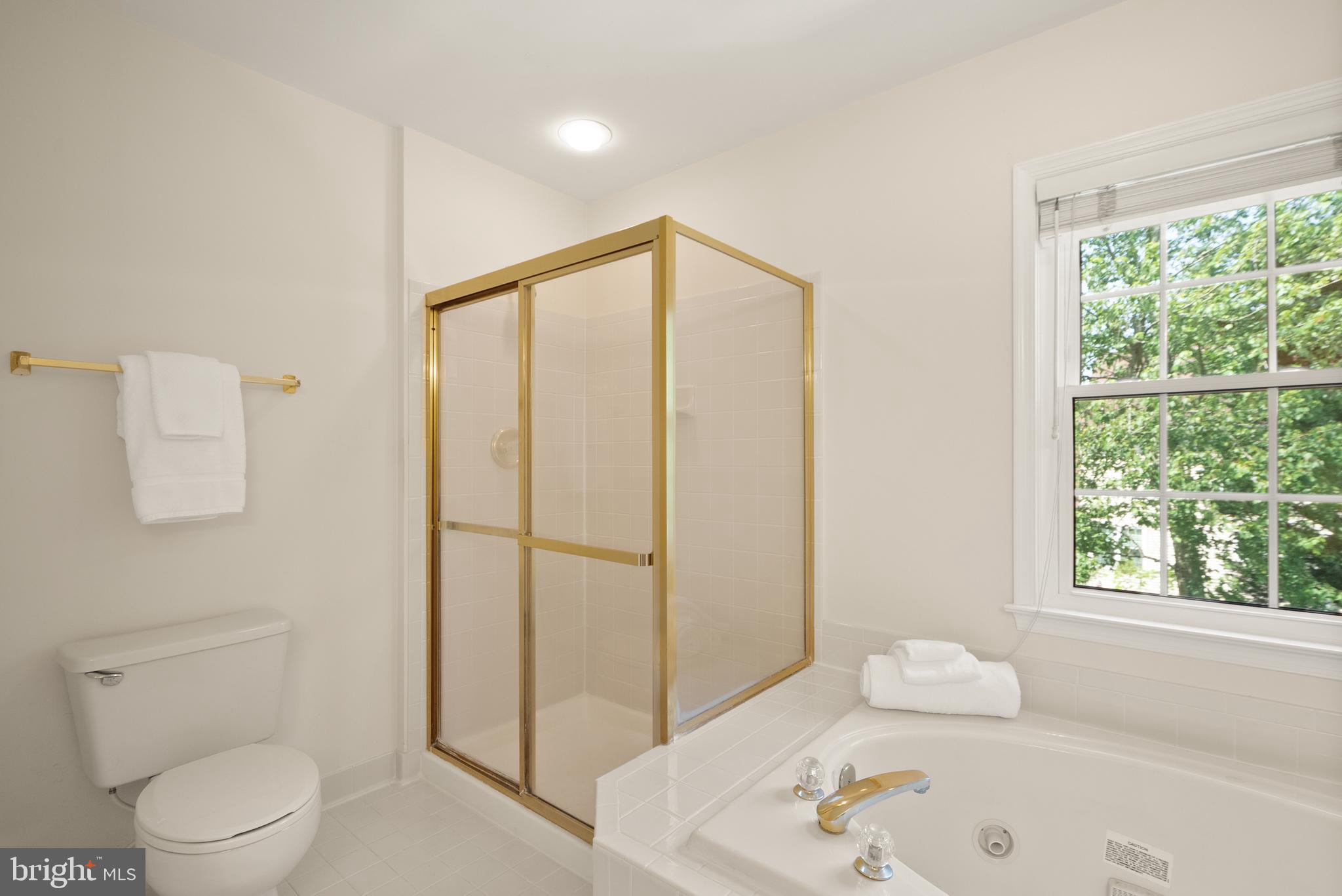 2614 Iron Forge Road Oak Hill, VA 20171 - Photo 32 of 48 Separate shower