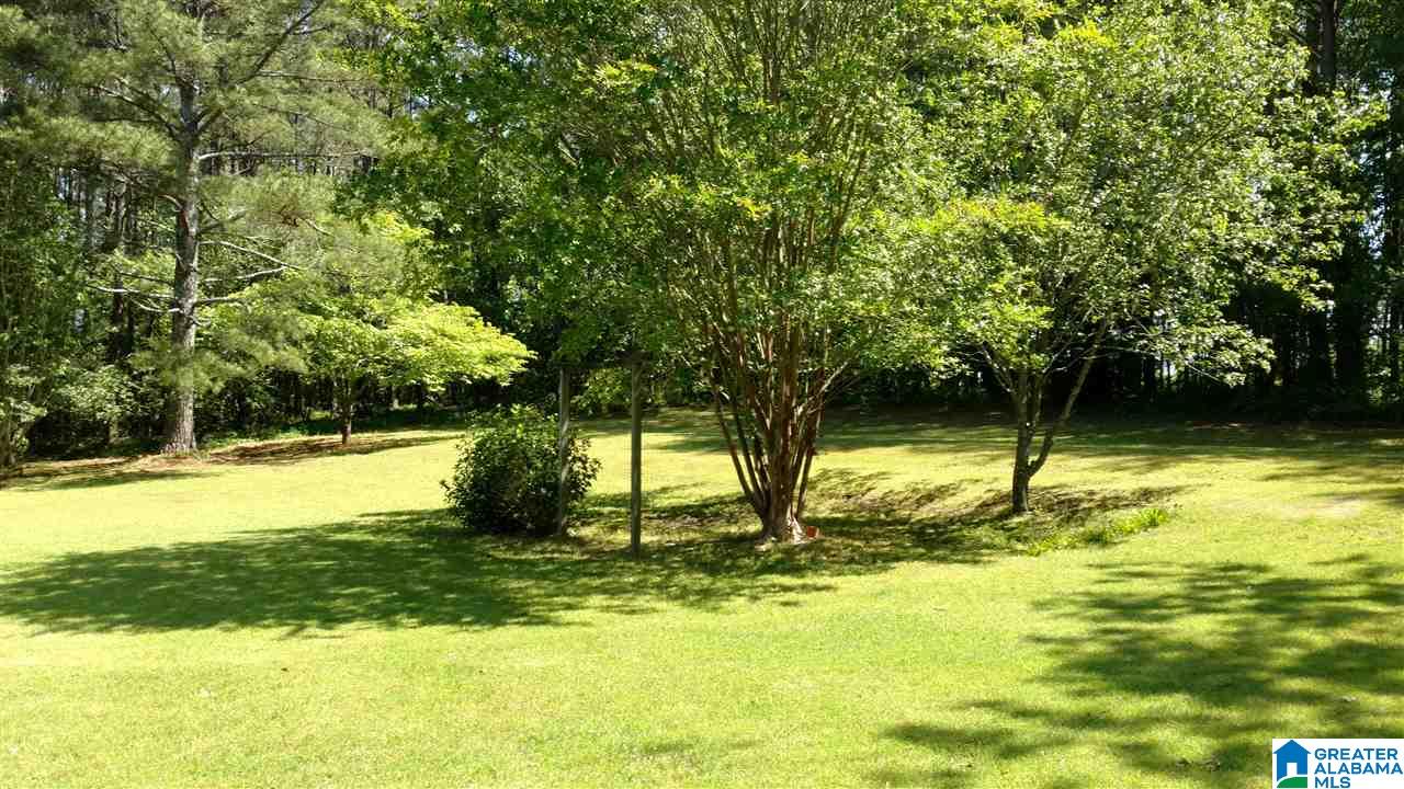 4840 Duck Springs Road Attalla, AL 35954 - Photo 6 of 26